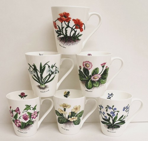 Botanic flowers mugs set 6 - mugs,