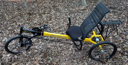 Greenspeed anura recumbent - anura, rl
