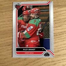 Cardiff Devils Blindside Trading Cards. 2024/25. Riley Brandt B13. SERIES 1.