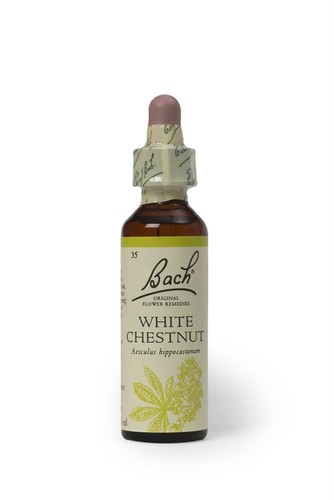 Bach original flower remedies - bach,