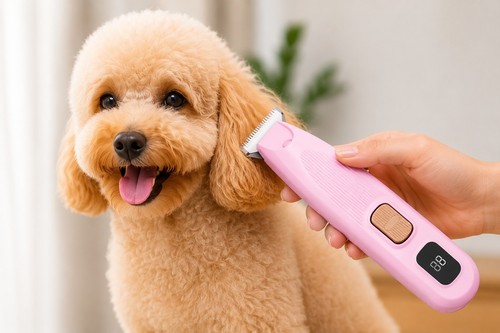 Pet dog cat grooming clippers - dog,
