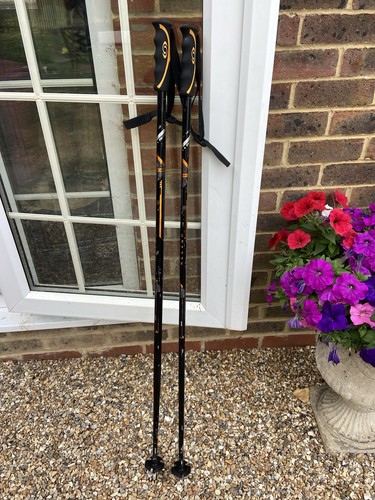 Salomon allium ski pole - set,