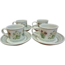 Portmeirion National Trust