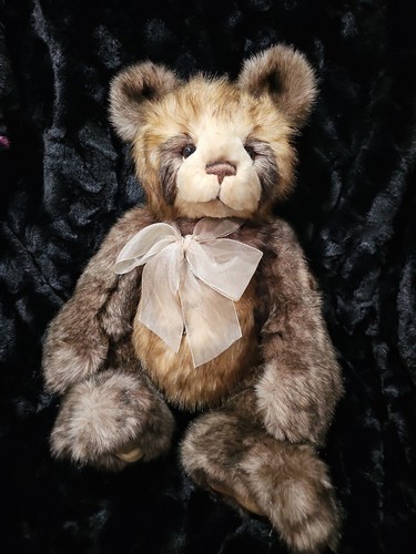 Charlie bears brady 2018 - charlie,