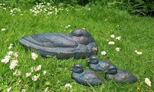 Duck and three ducklings - duck,