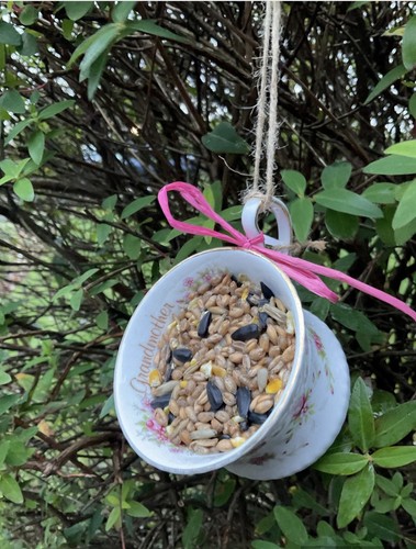 Teacup bird feeder - teacup,