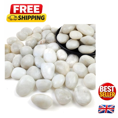Elegant 9kg white pebbles - 0.9kg,