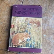 The Inquisitive Harvest Mouse