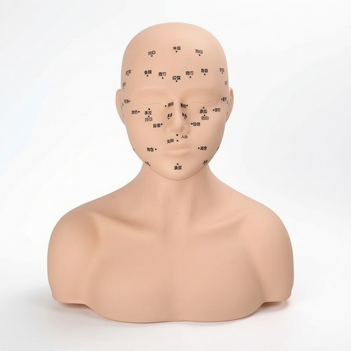 Pvc mannequin head - head, with