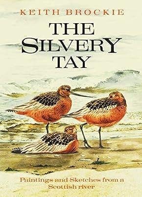 The silvery tay paintings and - tay:,