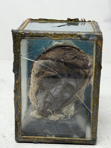 Antique faux shrunken head - faux,