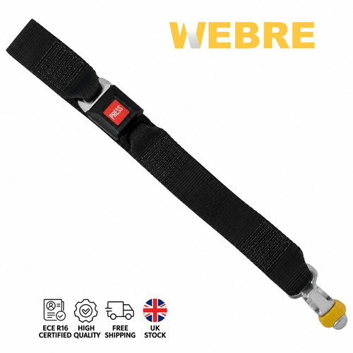Wheelchair tie down straps - wheelchair,