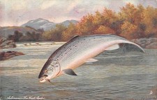 FLY FISHING SALMON FIRST LEAP POSTCARD 1904 RAPHAEL TUCK CHESHAM DUPLEX POSTMARK