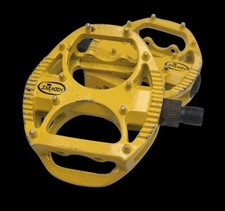 RARE* VINTAGE TEAM SARACEN