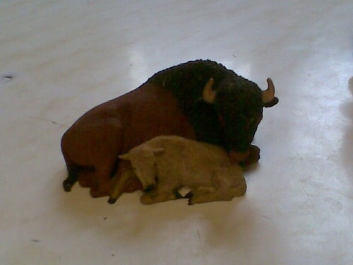 Vintage 1988 bison calf - vintage,