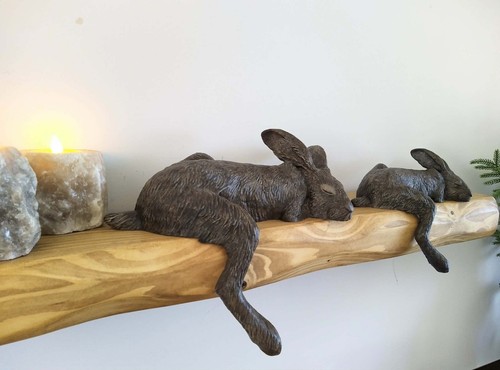 Harlan sleeping hare shelf - harlan,