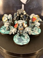 Warhammer 40k Space Wolves Aggressors Painted