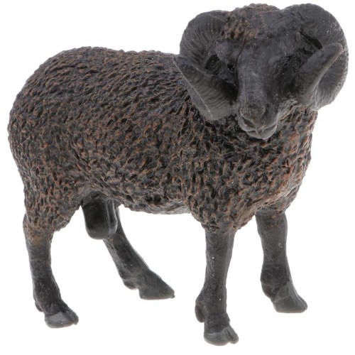 Realistic black sheep farm - realistic,