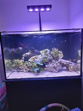 Red Sea 300xl Marine/tropical Fish Tank With Sump With Hydra 64 Hd Marine Light 