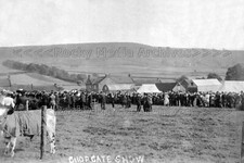nbb-55 Chop Gate Agricultural