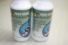 CLEARANCE YAMITSU KOCKNEY KOI