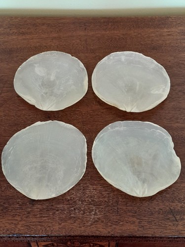 Large vintage capiz shell - large,