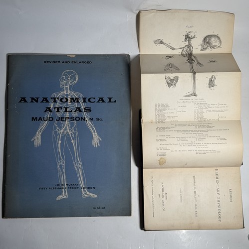 Vintage anatomy medical - 2x,