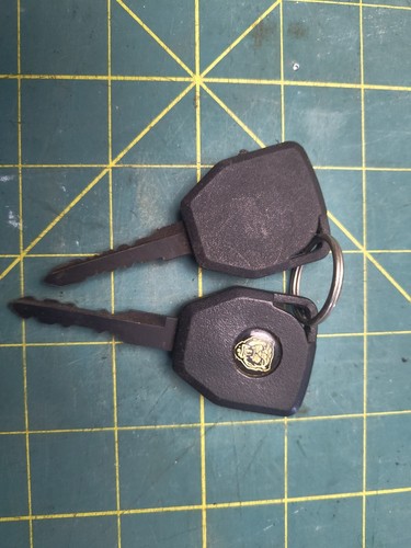Pair classic jaguar keys - classic,