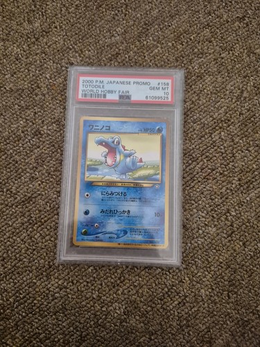 Pokemon totodile world - pokemon,
