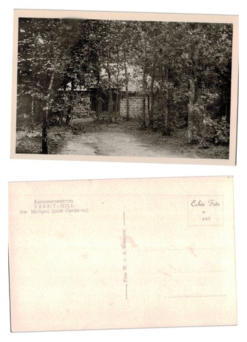 Vintage postcard - postcard,