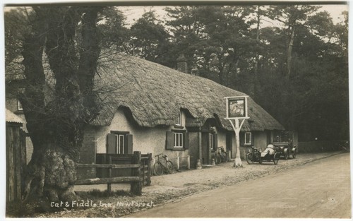 Cat fiddle inn new - fiddle,
