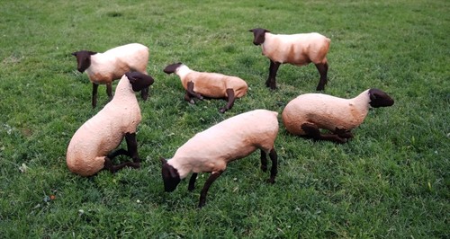 An05 sheep figures unpainted - an05,