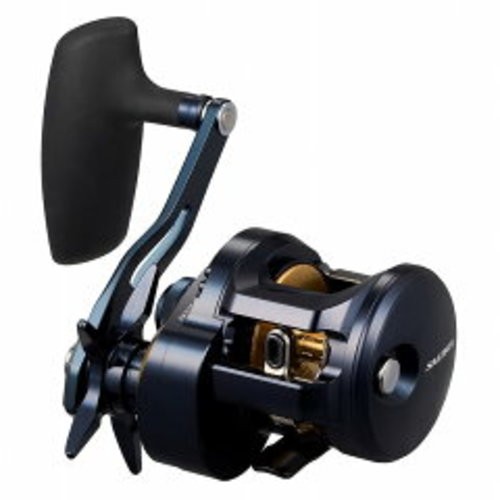 Daiwa saltiga 300h - 25,