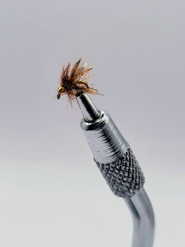 Gold bead soft hackle - hackle, fly