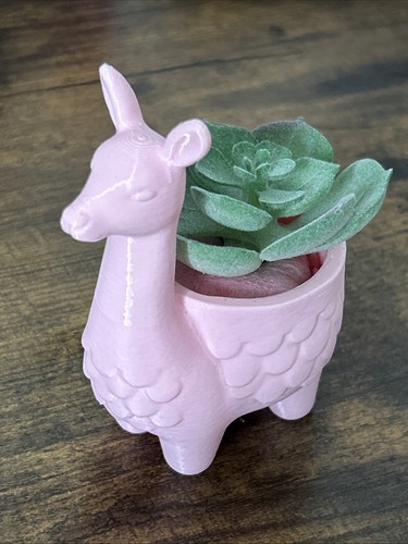 Cute llama succulent - llama, plant