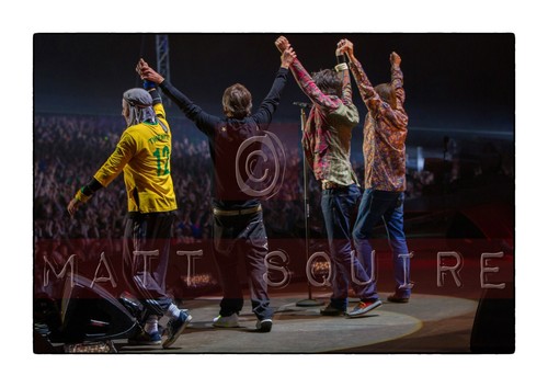 Stone roses archival - stone,