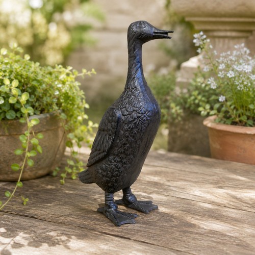 Cast iron duck - duck, garden