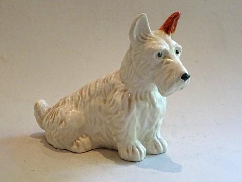 Scottish terrier scottie dog - scottish,