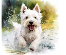 Watercolor West Highland White