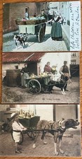 Belgium.   Three Vintage Postcards of People  & Dog. Carts