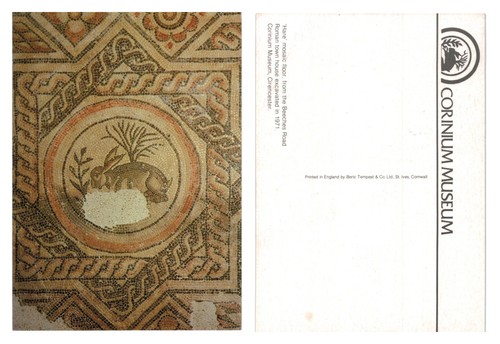 Postcard roman hare mosaic - roman,