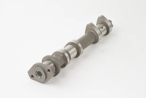 Hot cams racing camshaft - camshaft, stage