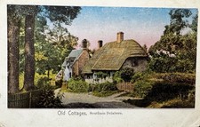 Delabere thatched cottages - thatched,