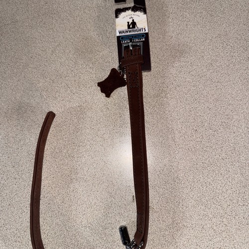 Dog collar - dog,