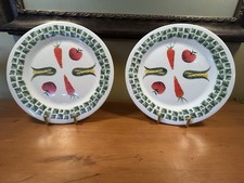 Set Of 2 VTG Arcopal France