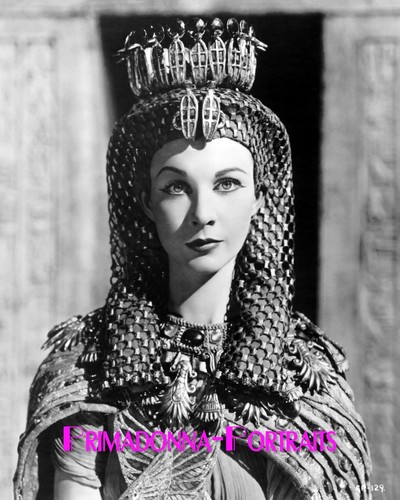 Vivien leigh 8x10 - vivien, lab
