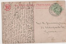 Cunningham 33 - mr., r.