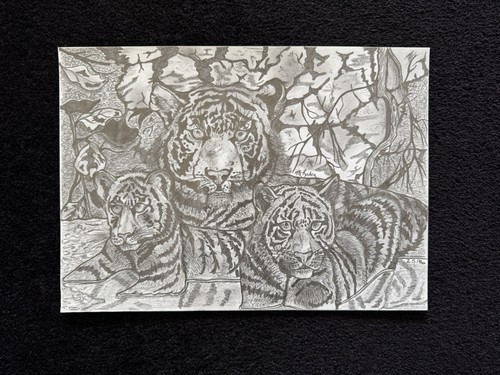 Black white pencil - a4,