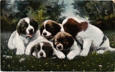 CPA St. Bernard Puppies DOGS (1388079)