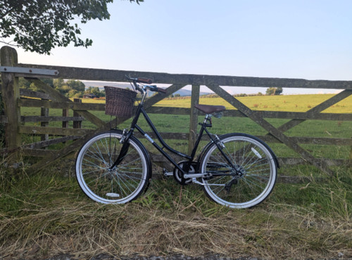 Dawes classic vintage ladies